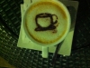 Café Sloop Café Sloop